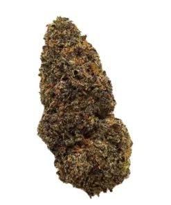 Alien Runtz Hybrid