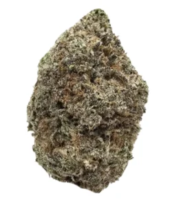 Blue Sherbert